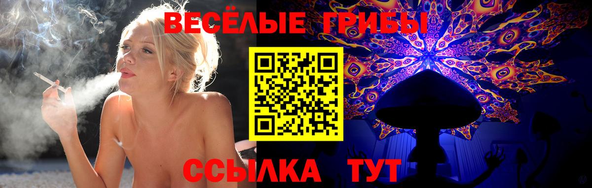 Псилоцибиновые грибы Cubensis  Псилоцибиновые грибы мухоморы  что такое   Можга  Вход с VPN 